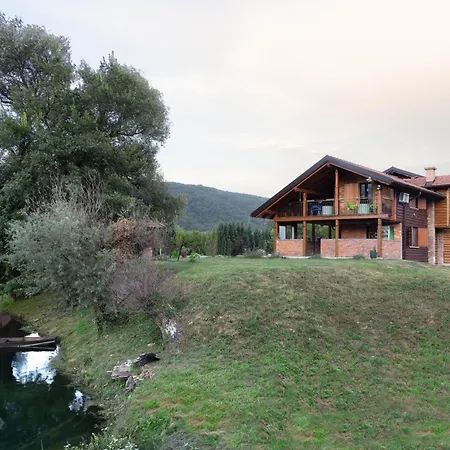 Nessy Bihac